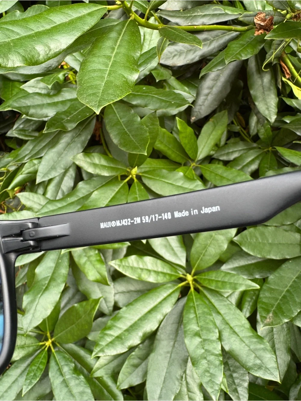 Polarized Maui Jim Sunglasses